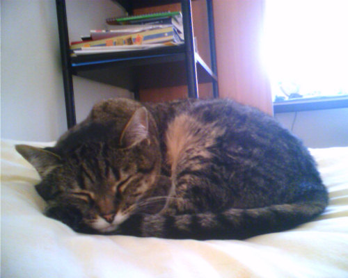 Manou, pas très parlante mais sympathique dans son attitude